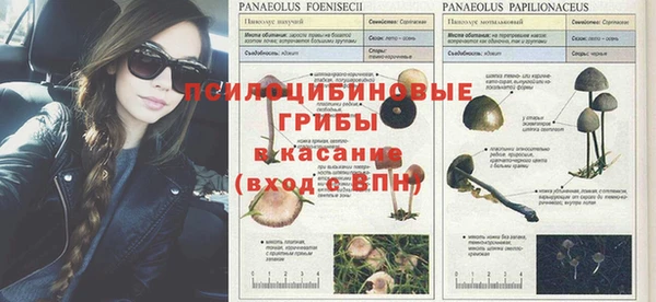 спиды Алзамай