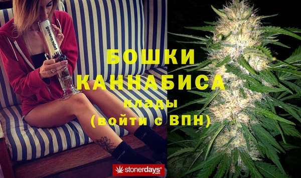 спиды Алзамай