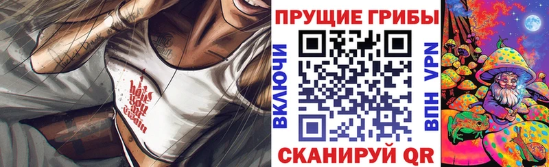 Псилоцибиновые грибы Psilocybine cubensis цены наркотик Нижнеудинск