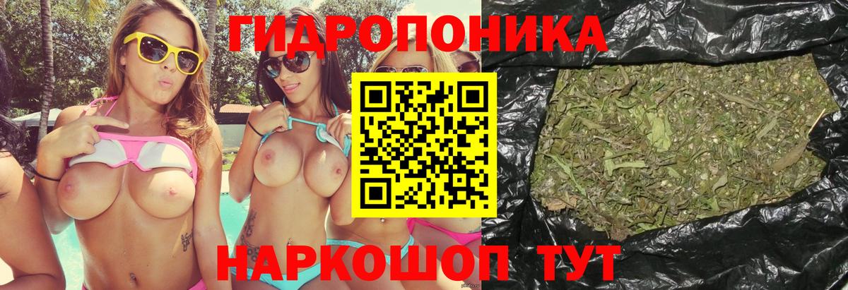 Бошки марихуана White Widow Нижнеудинск